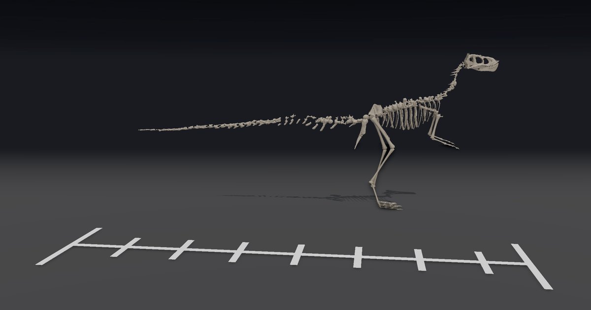 コンプソグナトゥスの実物大の 3D 骨格（Compsognathus longipes）