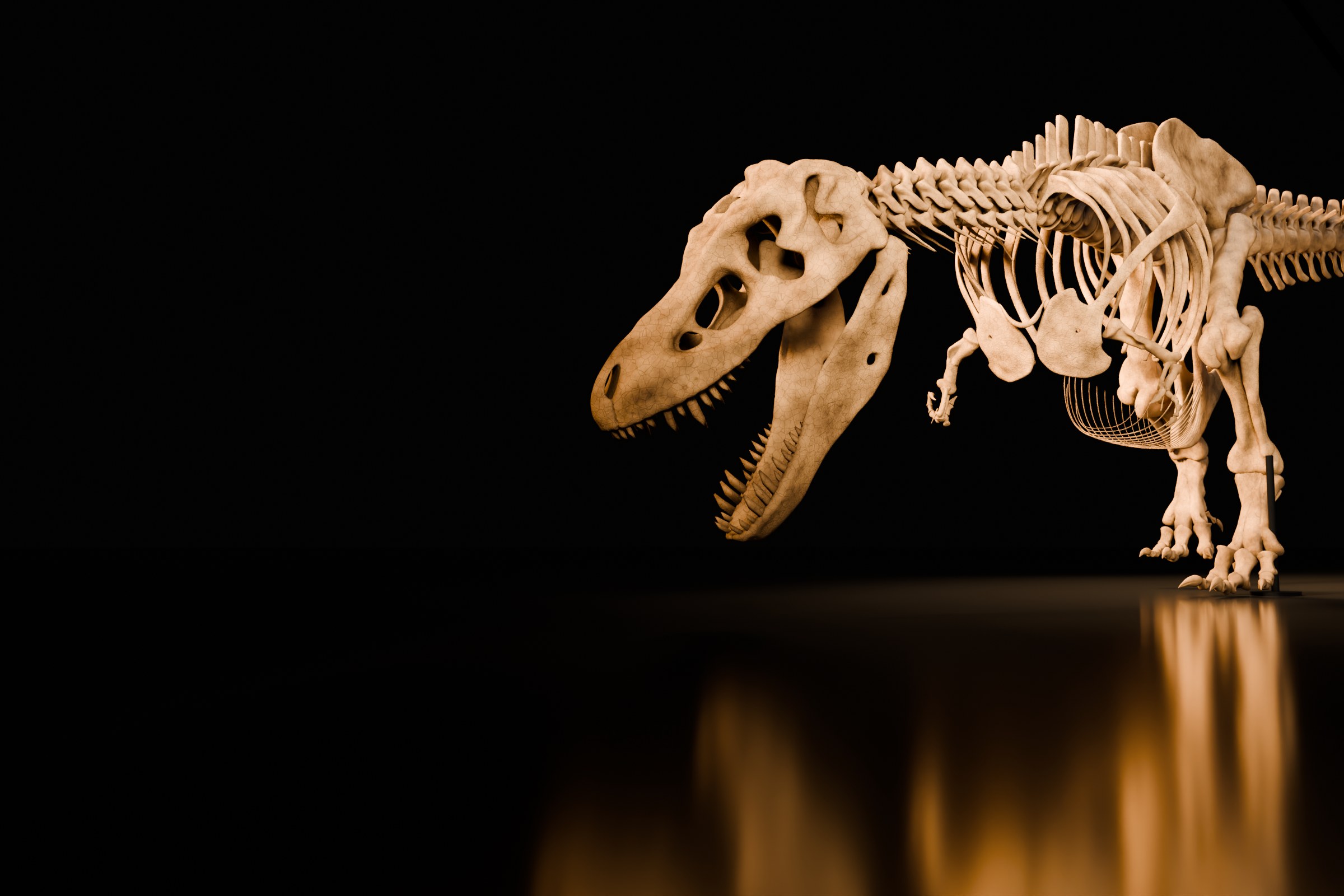 ティラノサウルス・レックスの骨格の 3D 模型を、本物の化石の質感で描いたもの