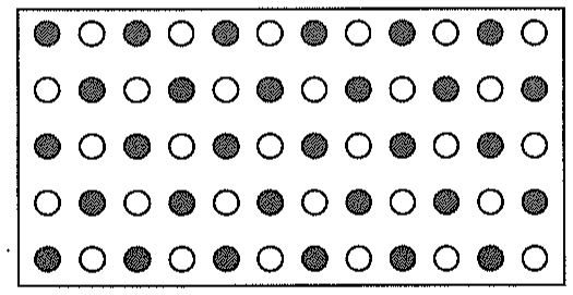 図2　2種を混植した畑