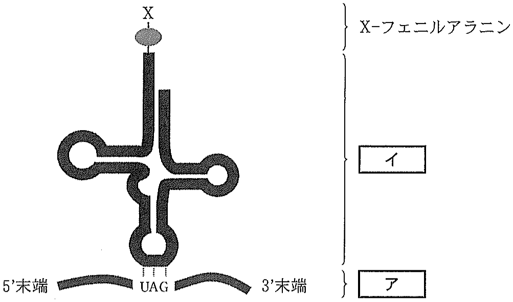 図2