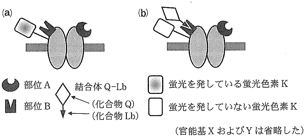 図4