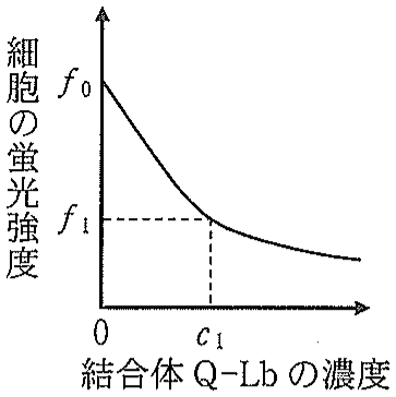 図5
