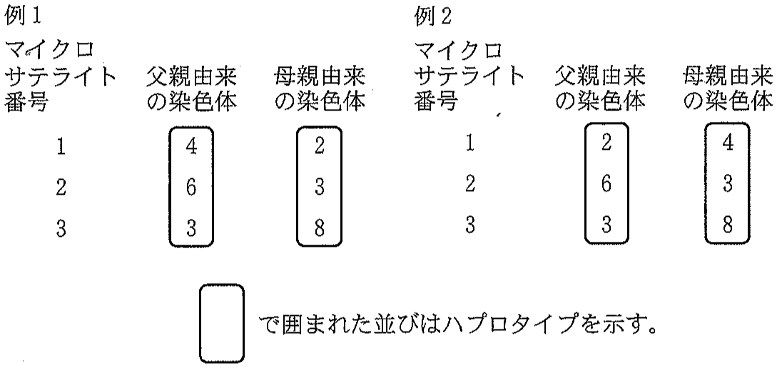 図2