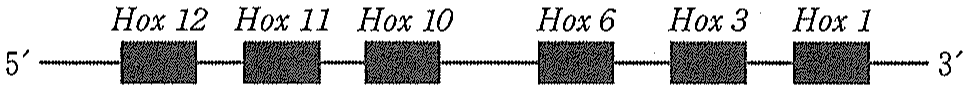 図5