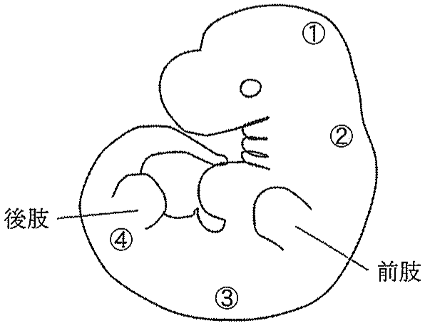 図6