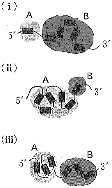 図7