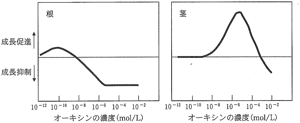 図3