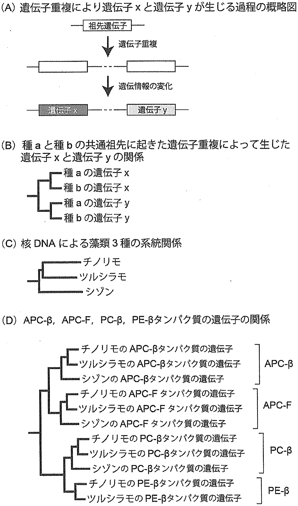 図1