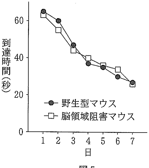 図5