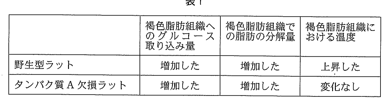 表1