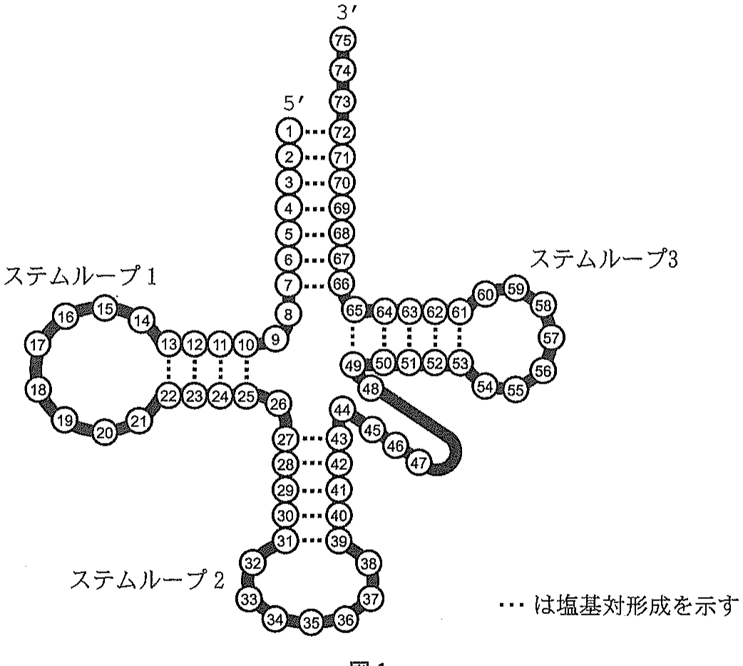図1