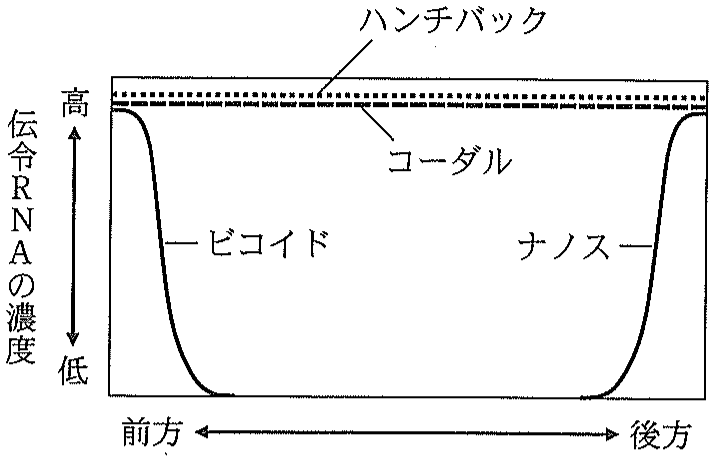 図2