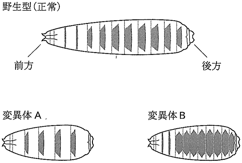 図4