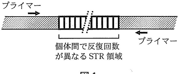 図1