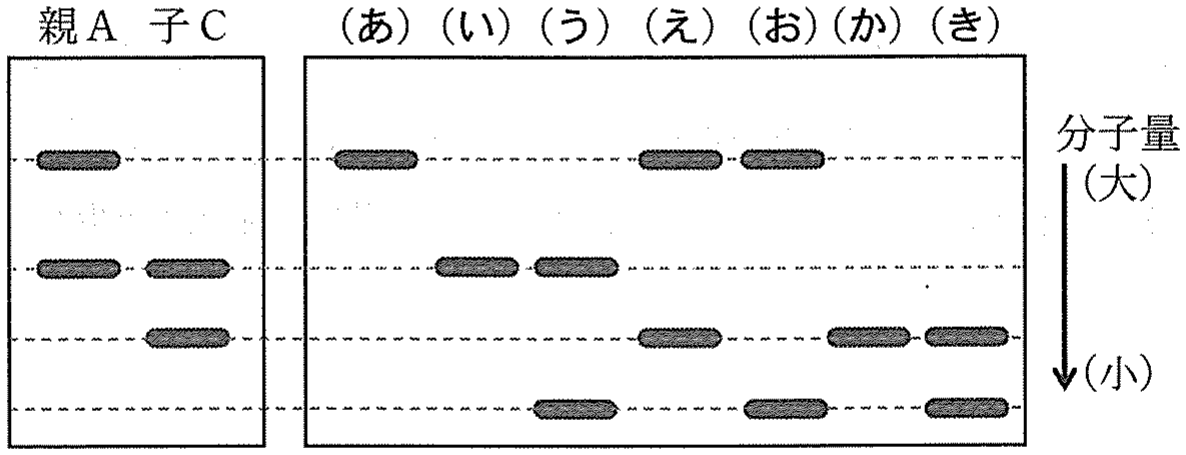 図3