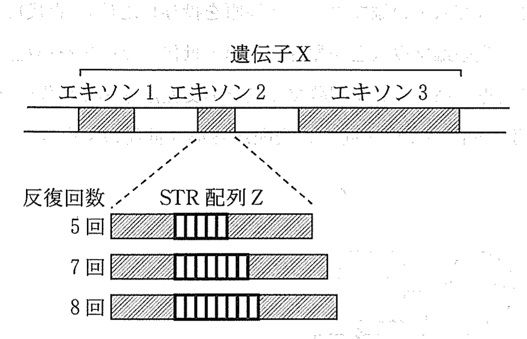 図4