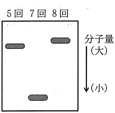 図5