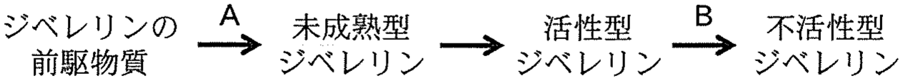 図1