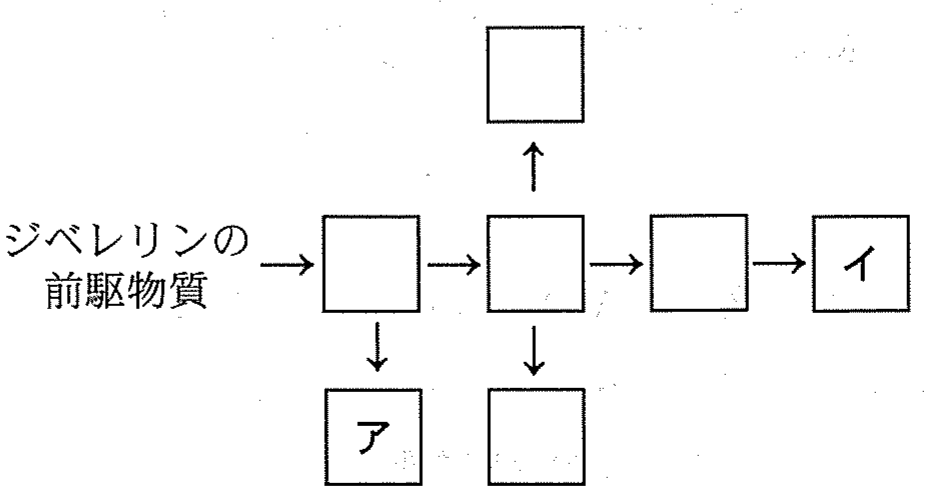 図2