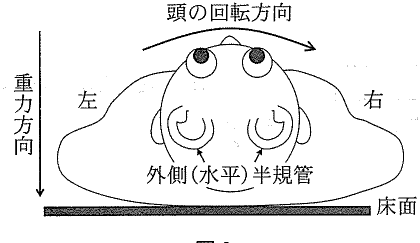 図3