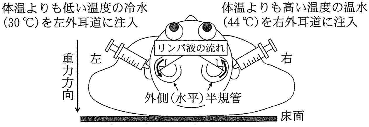 図5
