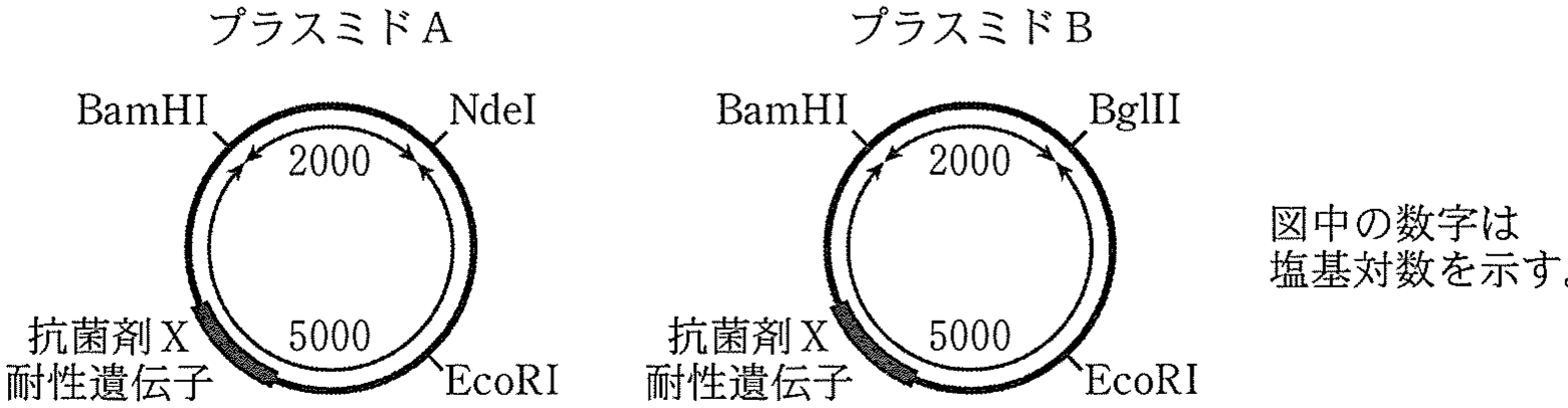 図2