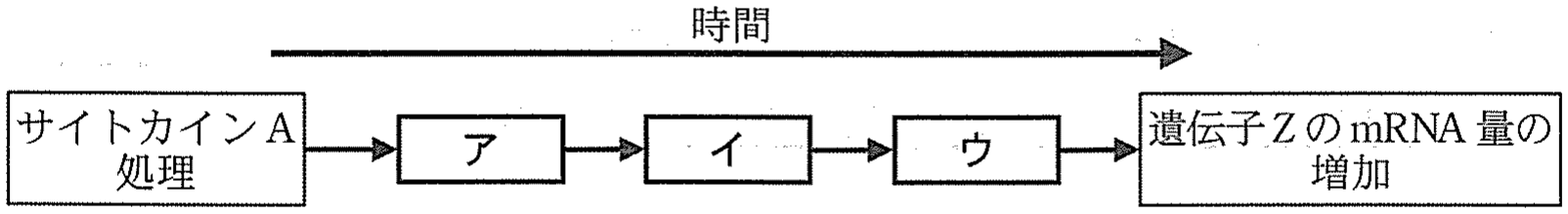 図6