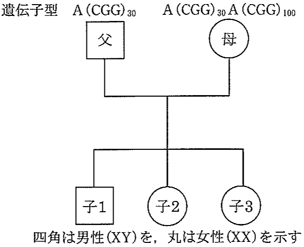 図1