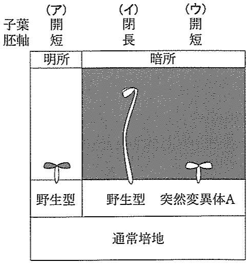 図1