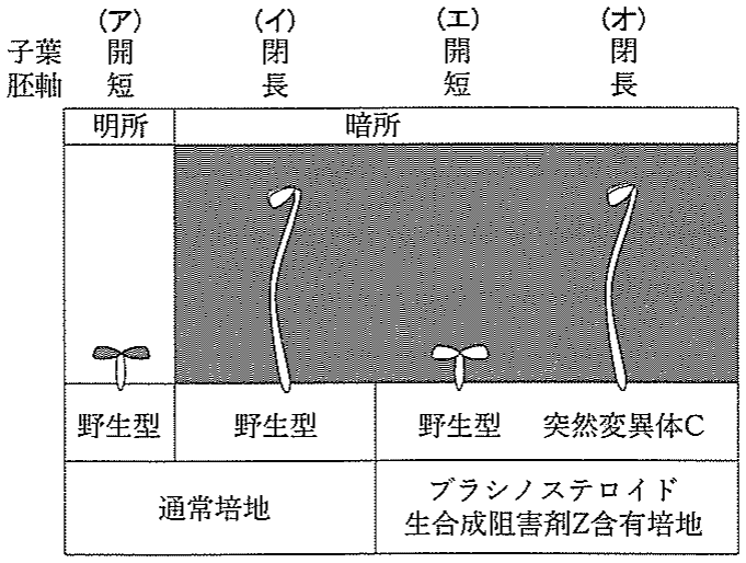 図2