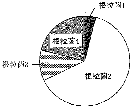 図1