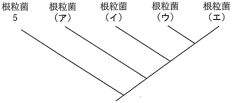 図2