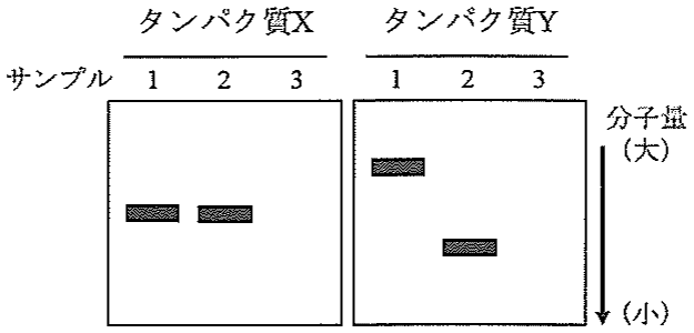 図1