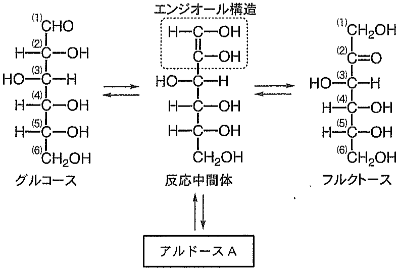 図2　グルコースの反応（(1)〜(6)で示した炭素をそれぞれ C1〜C6 と定める）
