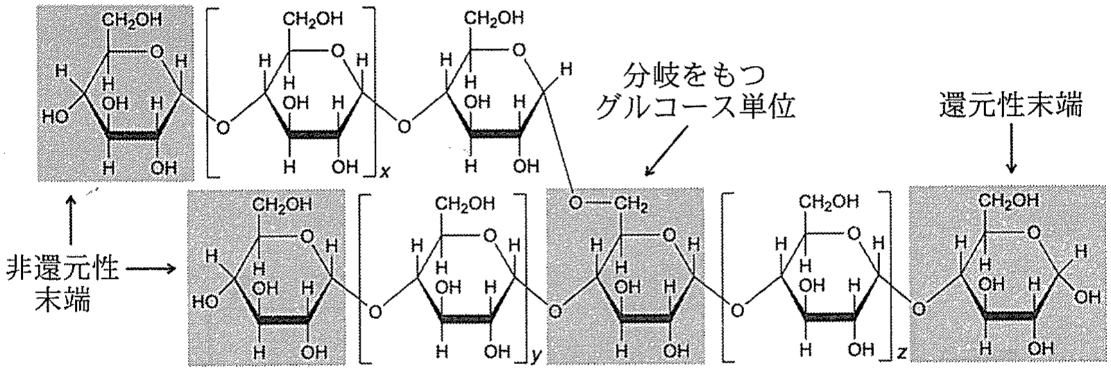図1