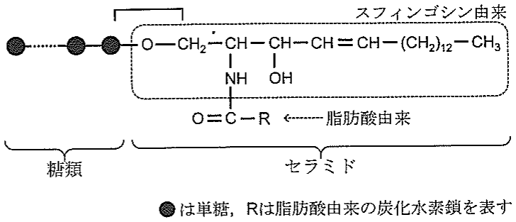図2　スフィンゴ糖脂質の構造の例