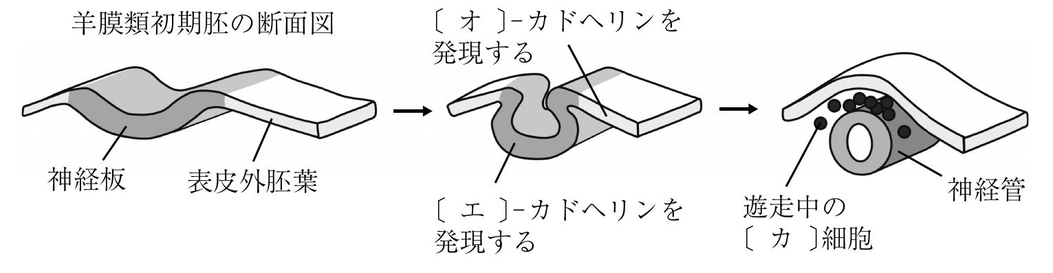 3f1