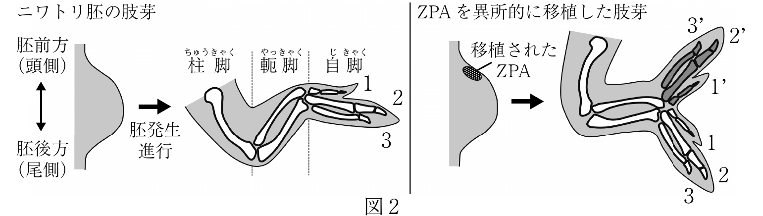 3f2