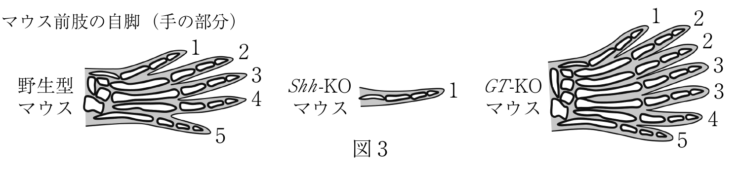 3f3