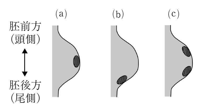 3f4