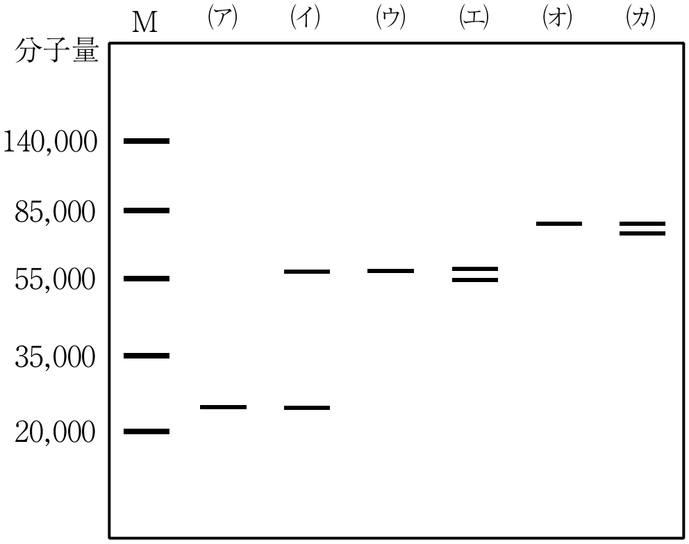 4f6
