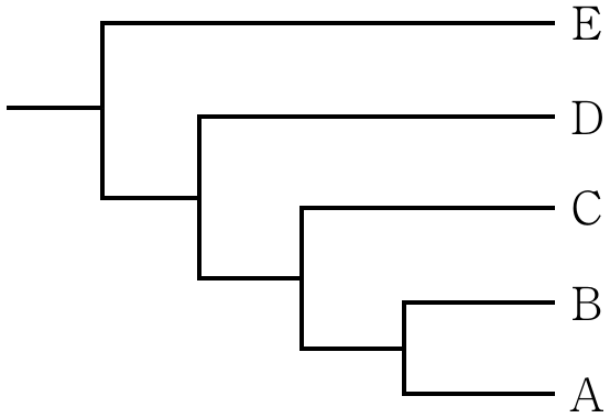 5f1