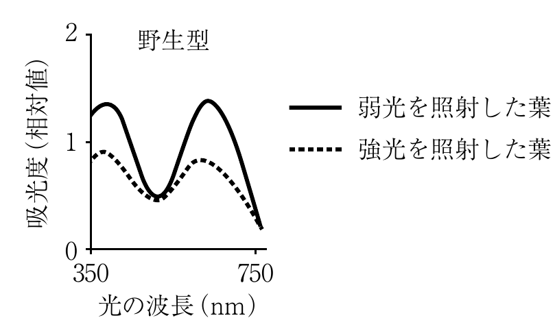 1f2