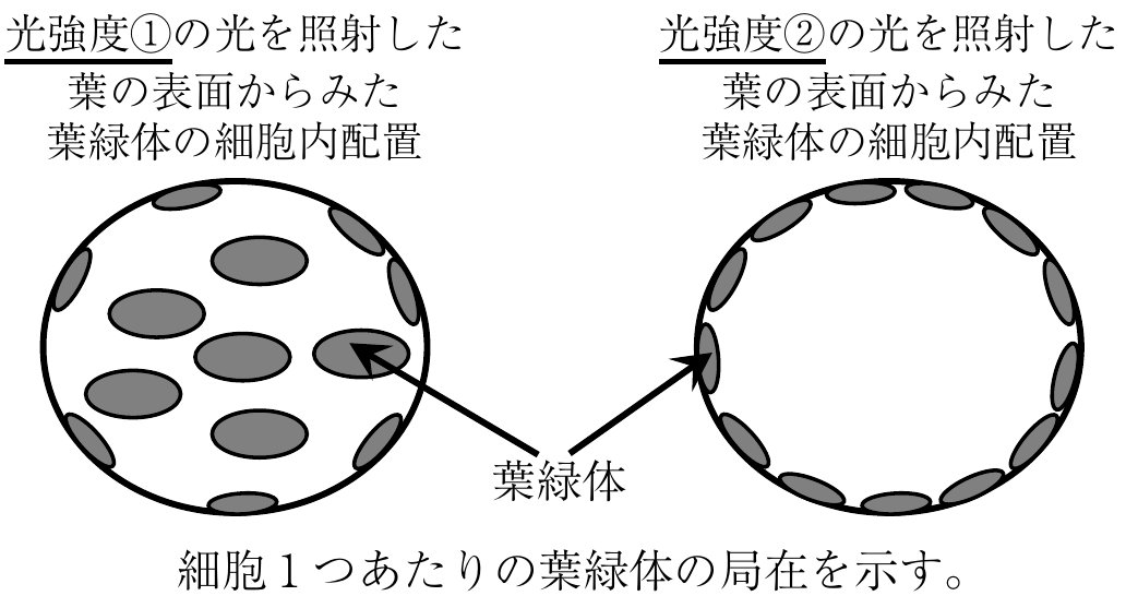 1f5