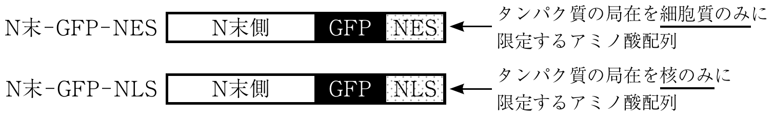 1f9