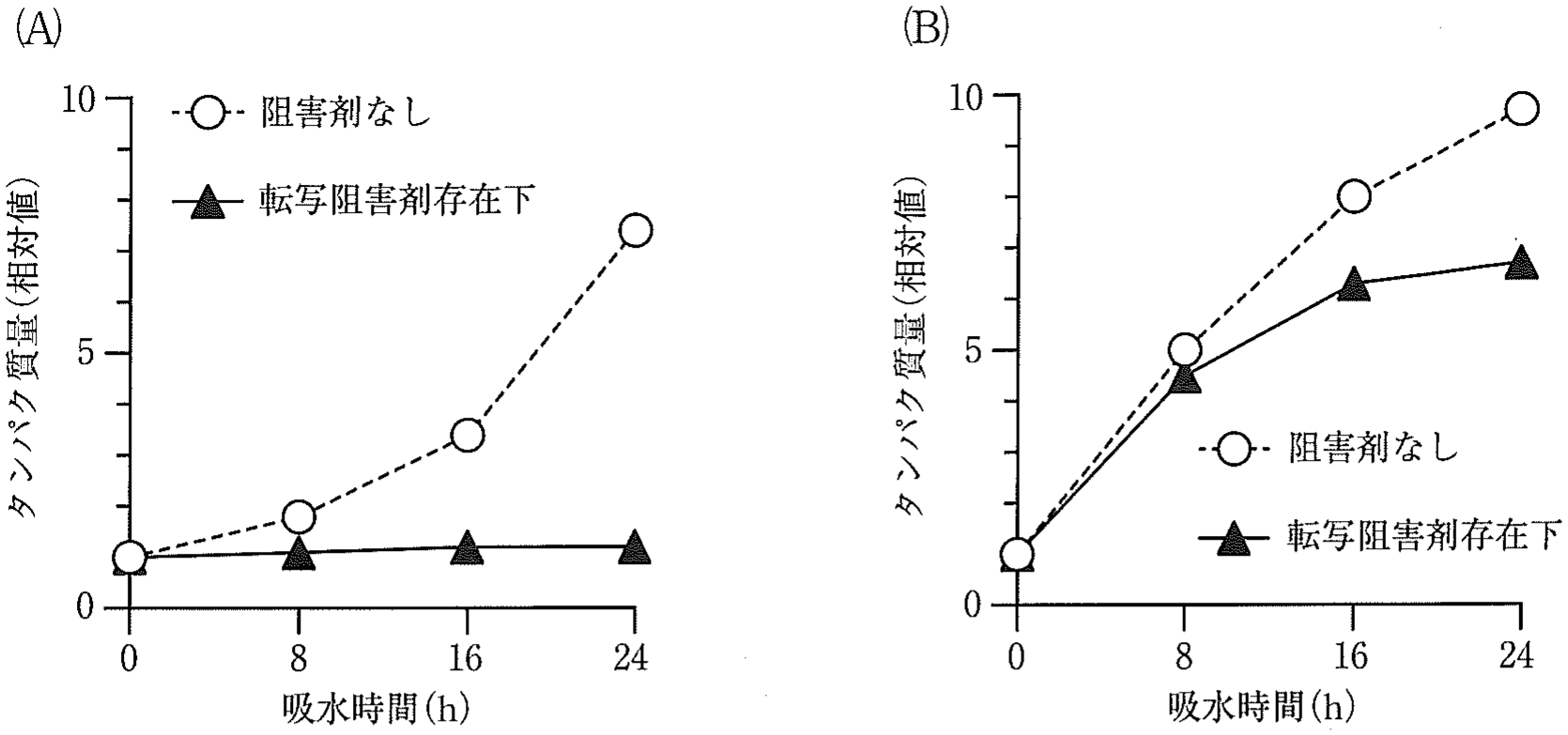 図5