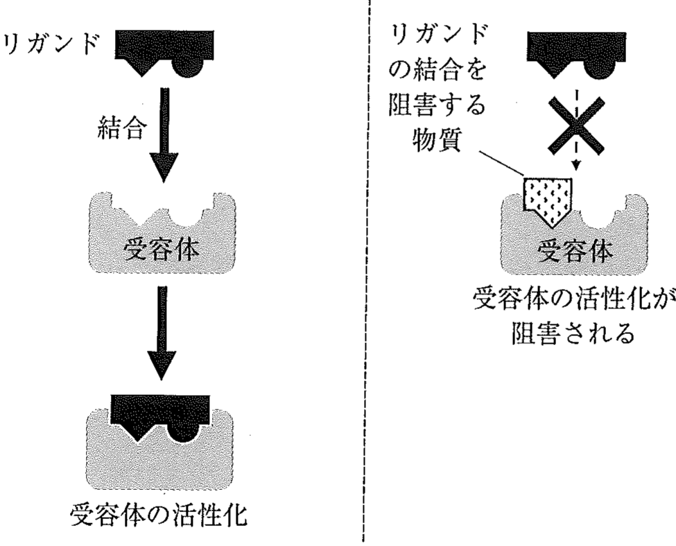 図1