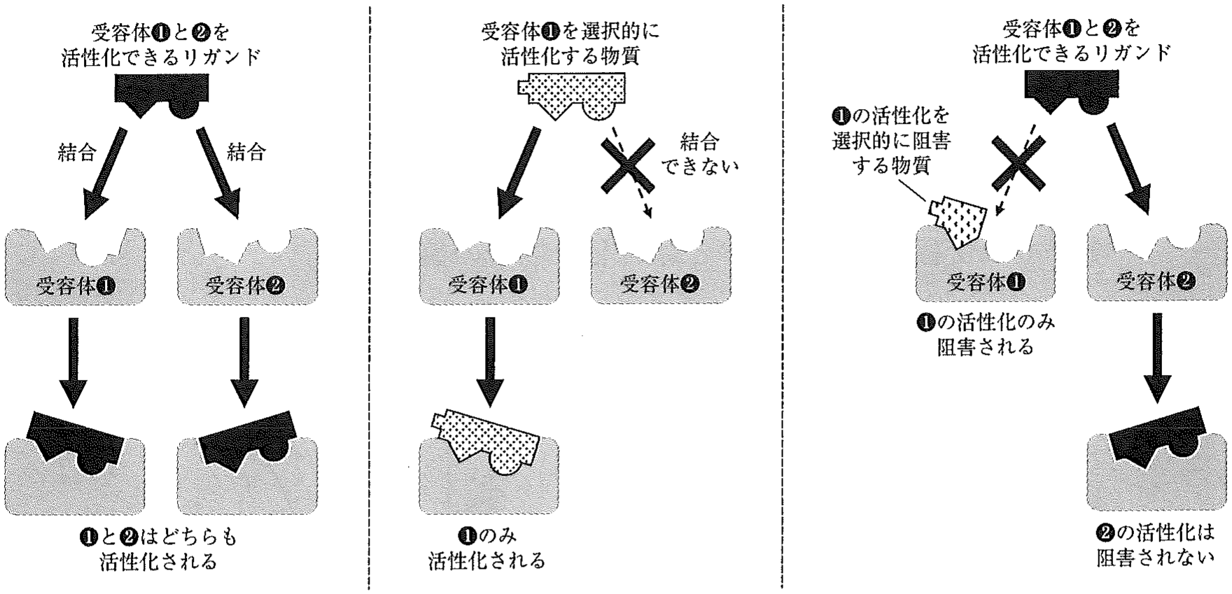 図2
