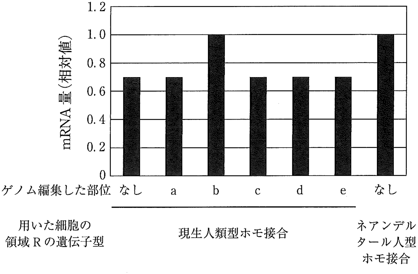 図3　ゲノム改変 iPS 細胞由来の肺オルガノイドでの遺伝子Sの mRNA 量