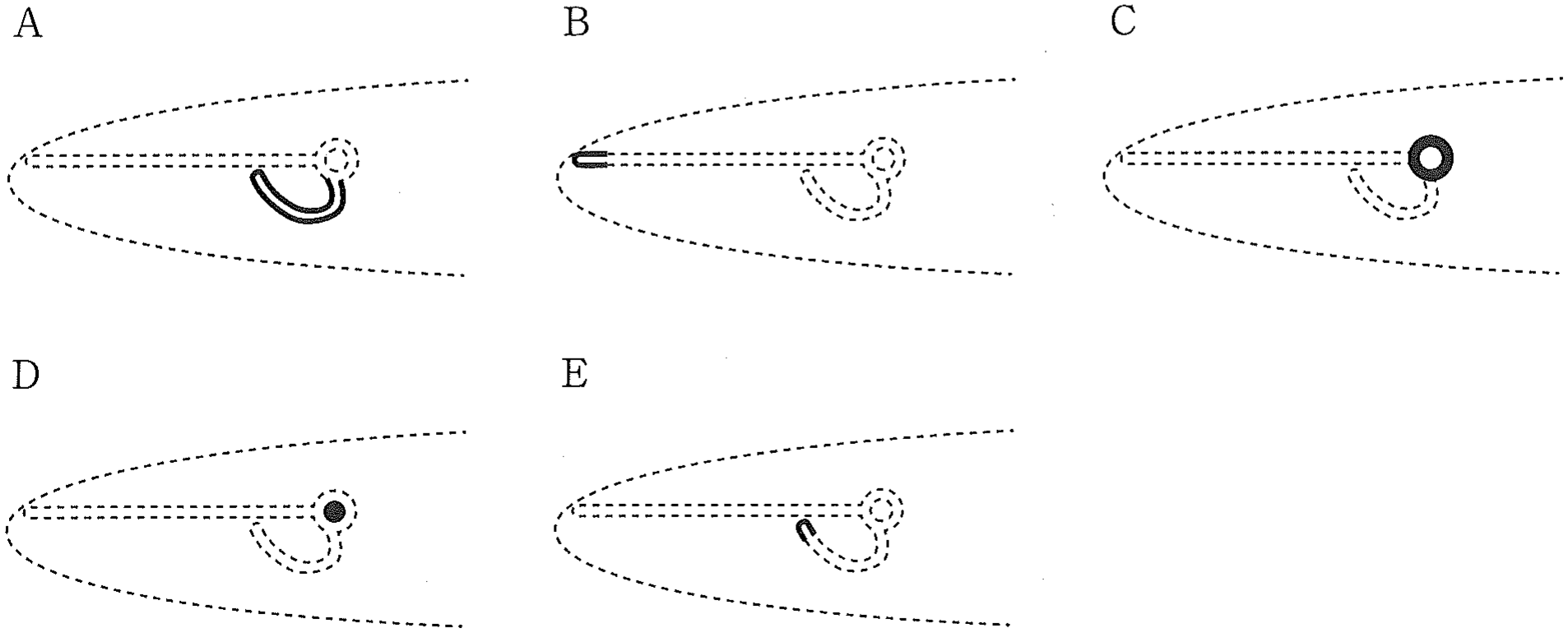 2f5